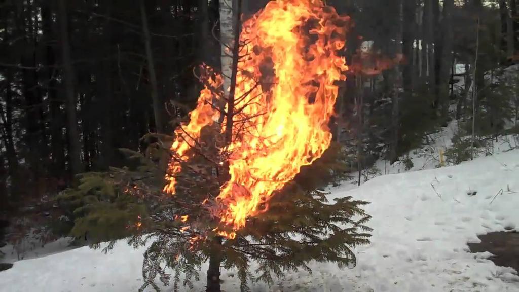 'Video thumbnail for Christmas Tree Fire'