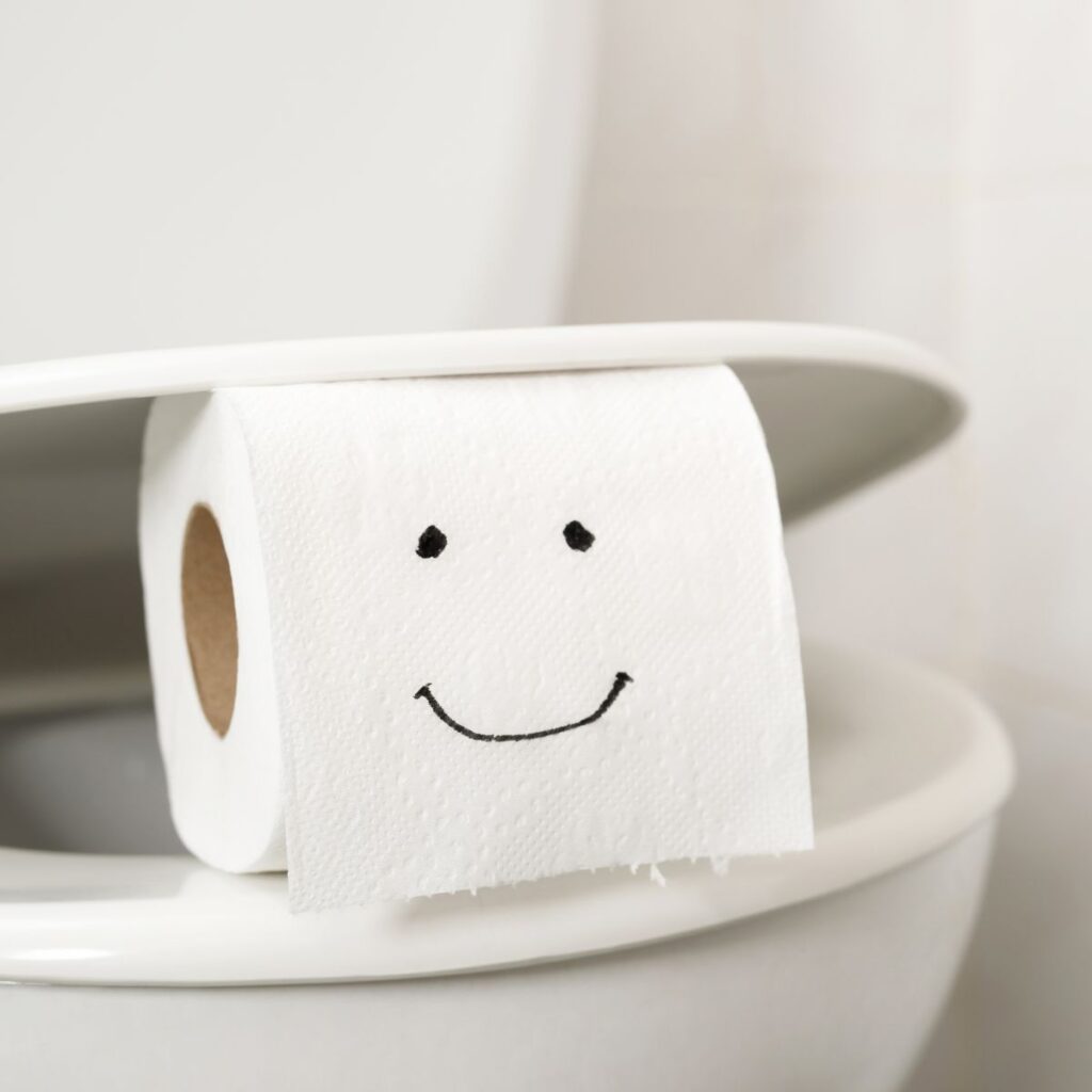 toilet paper, toilet